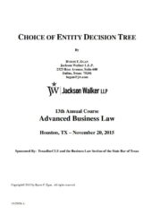 Choice of Entity Decision Tree PDF Free Download