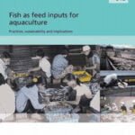 Fish as feed inputs for aquaculture practices sustainability and implications