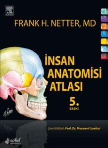 Insan Anatomisi Atlasi