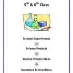 Science Experiments for Kids