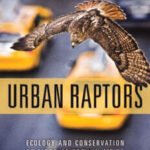 Urban Raptors Ecology and Conservation of Birds of Prey in Cities