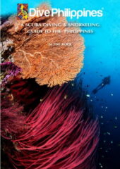 Dive Philippines PDF Free Download