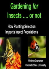 Gardening for Insects…. or Not PDF Free Download