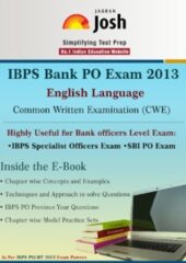 IBPS Bank PO EXAM 2013 PDF Free Download