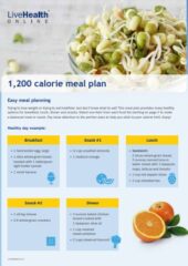 Printable Diet Plan 1200 Calories PDF Free Download