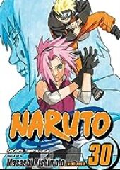 Naruto Vol. 30 PDF Free Download