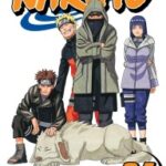 Naruto Vol. 34