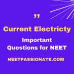 Current Electricity Important Questions for NEET