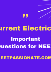 Current Electricity Important Questions for NEET PDF Free Download